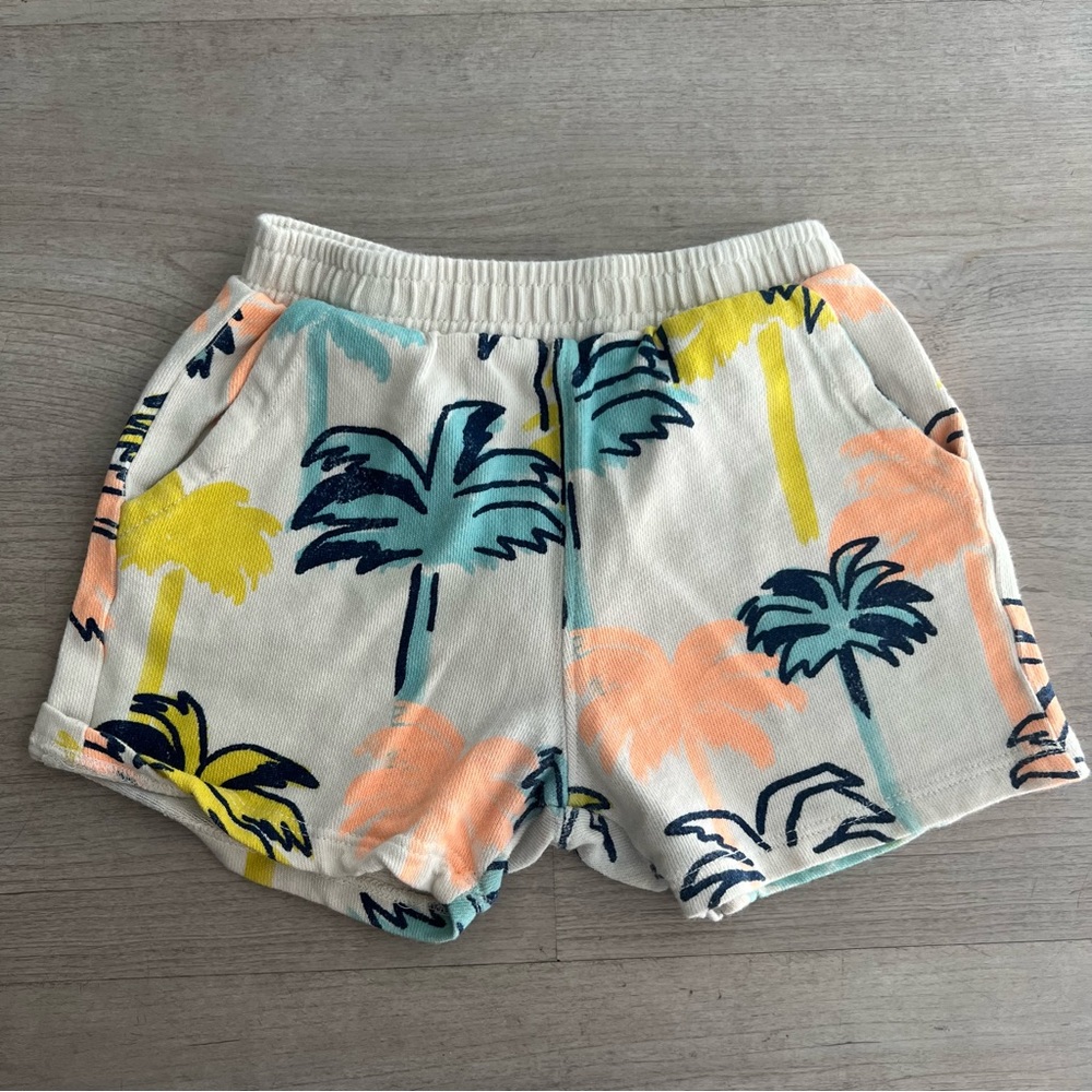 Zara shorts